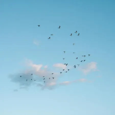 Hébergement de vacances Casa Del Mar