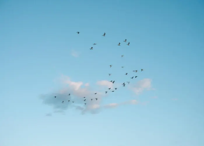 Casa de Férias Casa Del Mar